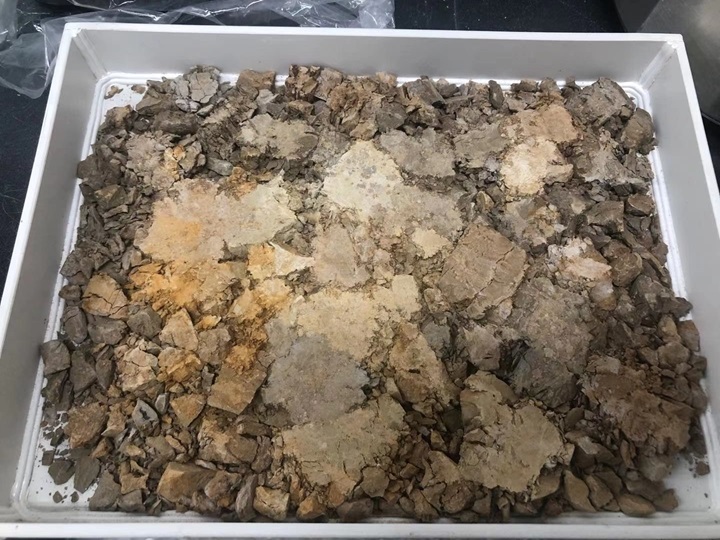 1762772887108523.jpg 3-1.jpg